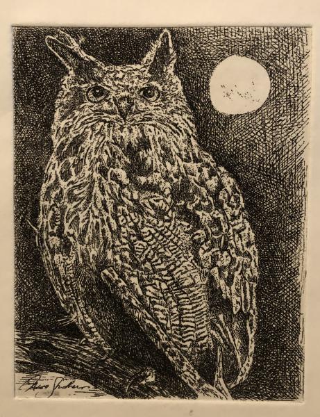 Lunar Owl