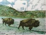 Three Buffalo