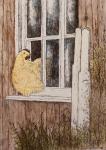 Buff Orpington Hen