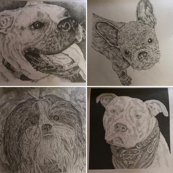 Dog Coloring Book picture