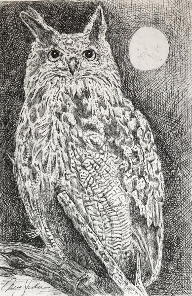 Lunar Owl