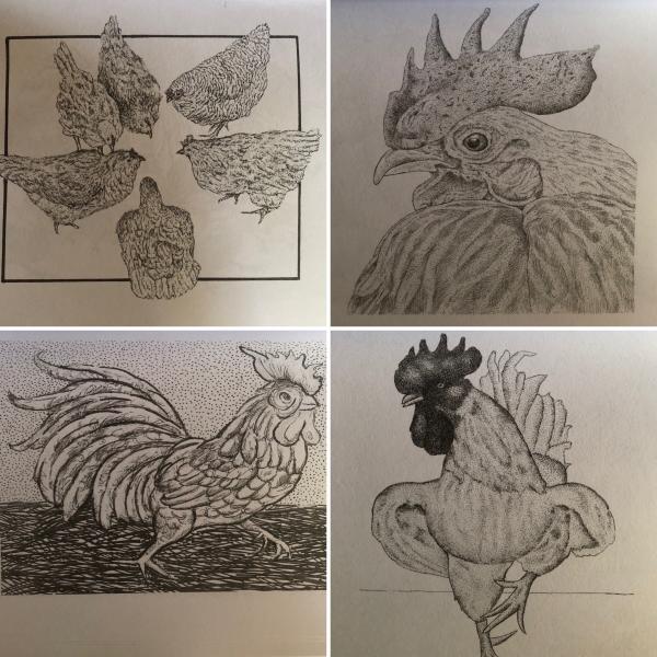Charming Chickens Coloring Book picture