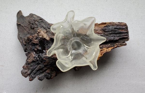 Resin & Driftwood