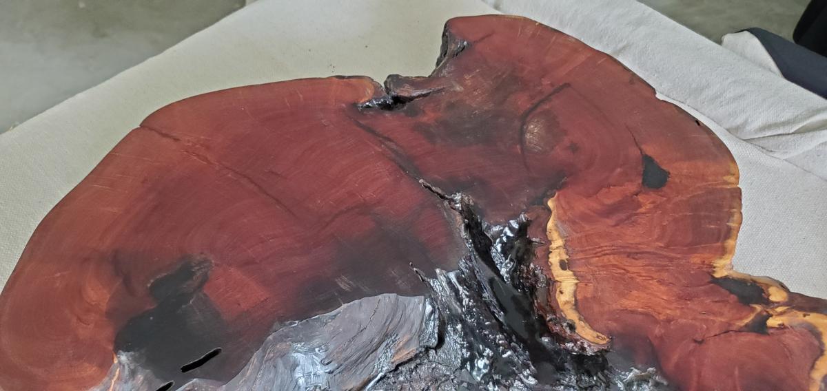 Mesquite Stunner picture