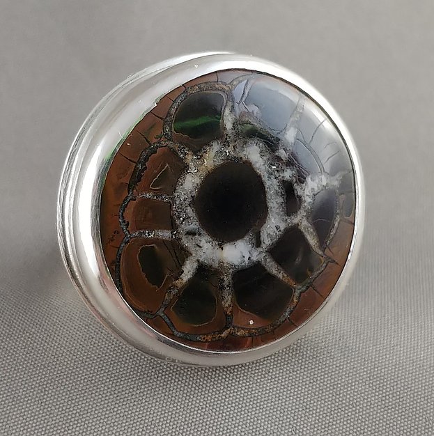 Septarian III picture