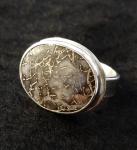 Fossil Dinosaur Bone Ring II