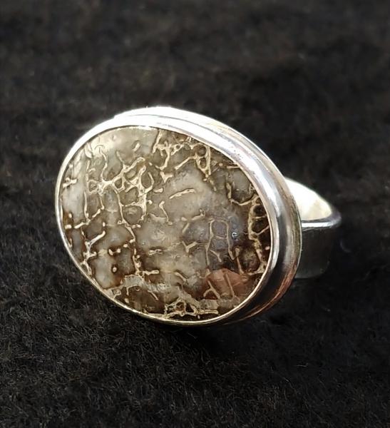 Fossil Dinosaur Bone Ring II picture