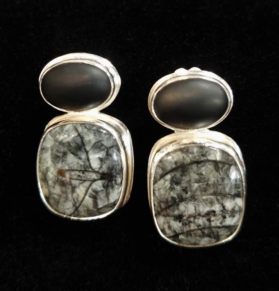 Orthoceras & Black Onyx Earrings picture