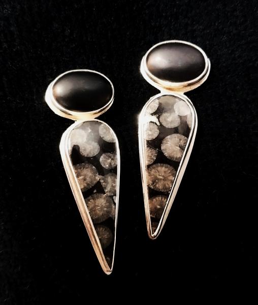 Fossil Coral & Black Onyx picture