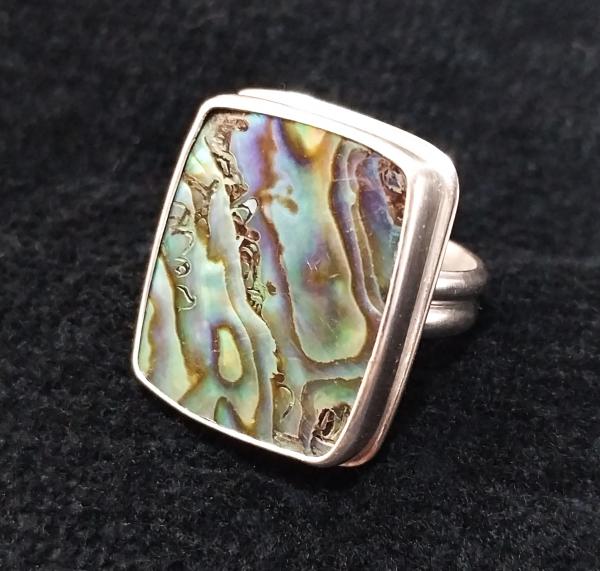 Abalone Shell
