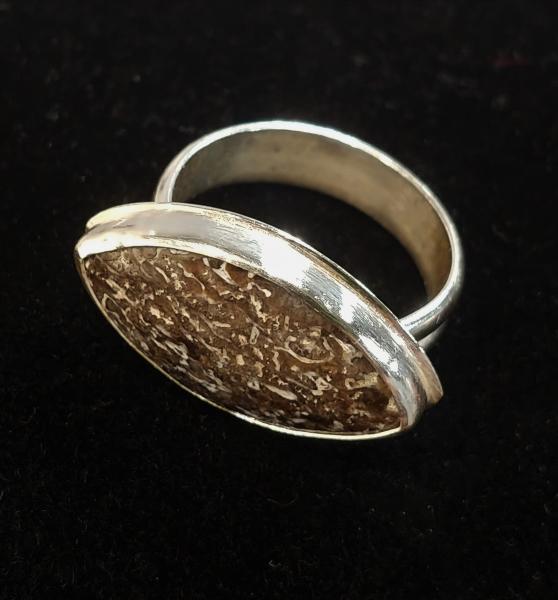 Fossil Dinosaur Bone Ring picture