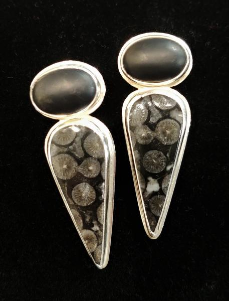 Fossil Coral & Black Onyx picture