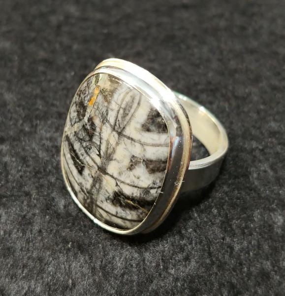 Orthoceras Ring