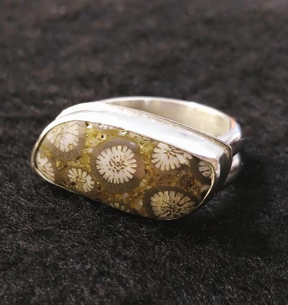 Fossil Coral Ring