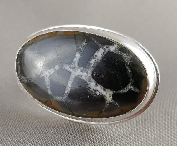 Septarian IV picture