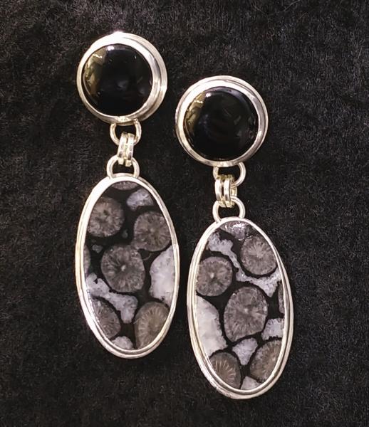 Fossil Coral & Black Onyx picture