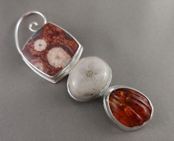 Bird's Eye Rhyolite, Amber & Fossil