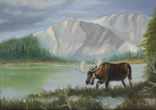 Moose in the meadow