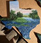 texcut bluebonnet hill country