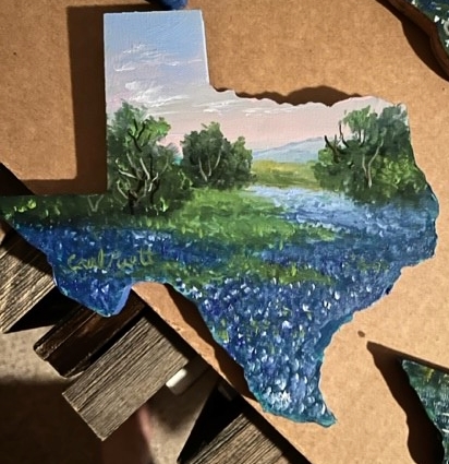 texcut bluebonnet hill country picture