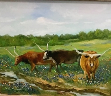 Longhorns and Bluebonnets picture