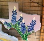 Bluebonnet still tex cut