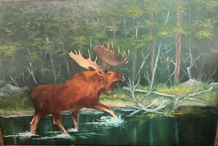 Moose Haven