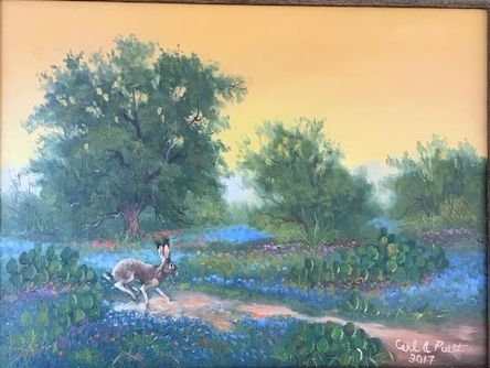 Jackrabbit Bluebonnet Crossing picture