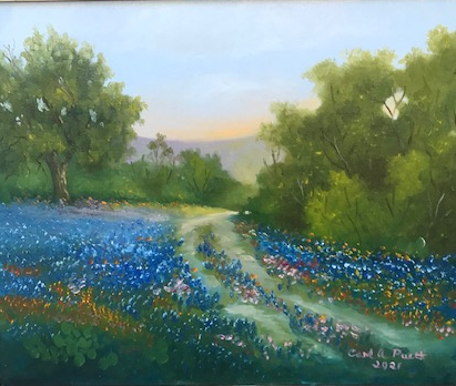 Bluebonnet backroad picture