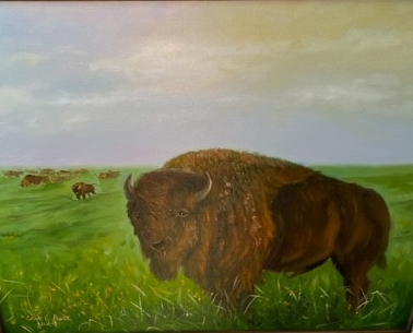 Buffalo on the Range