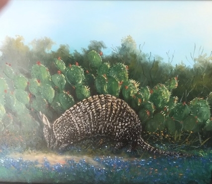 The Armadillo picture