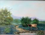 Bluebonnet_Longhorn