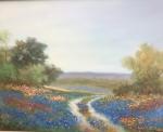 Hillcountry Spring