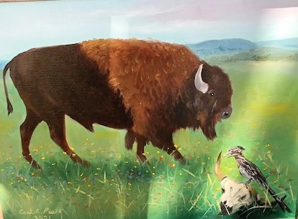 Buffalo past and present picture