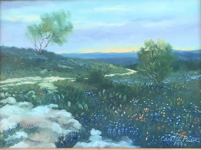 Bluebonnet hill