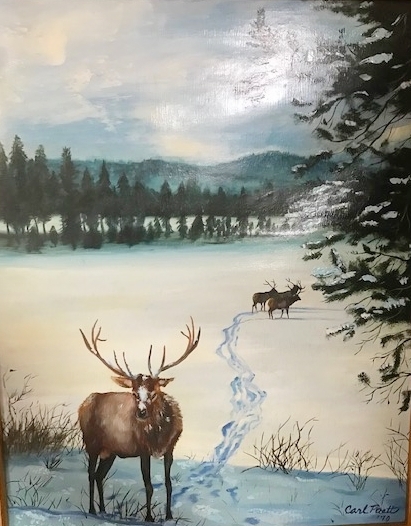 Calling the Wild