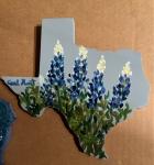 texcut bluebonnet highlighted