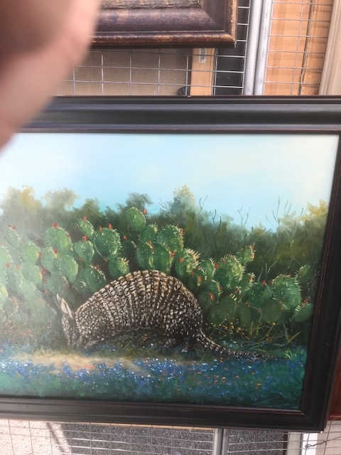 The Armadillo picture