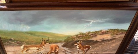 Call of the Wildness