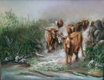 Longhorn Stampede