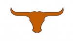 Longhorn Car Magnet