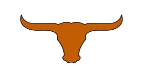 Longhorn Car Magnet