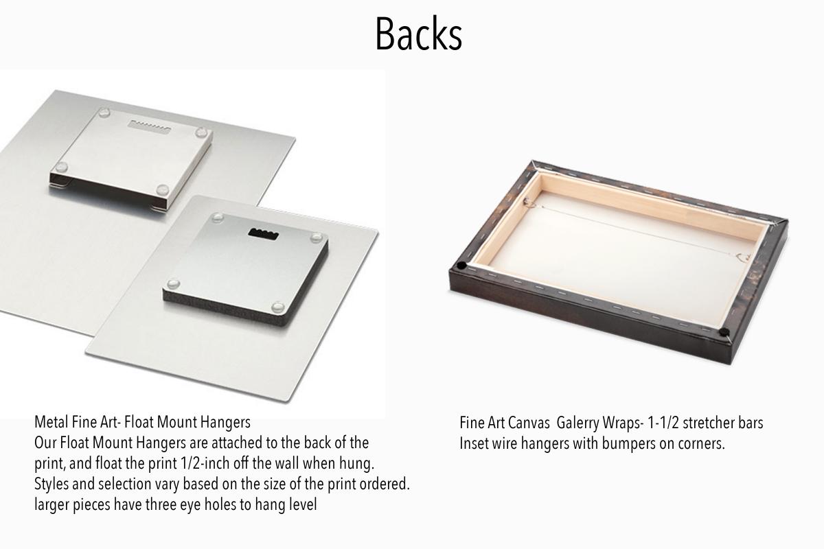 Geyser Shoshone LE Fine Art picture