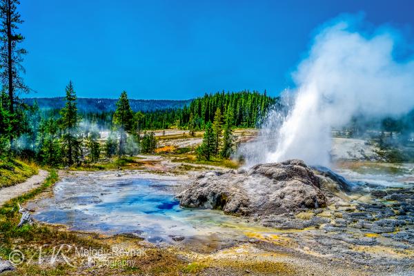 Geyser Shoshone LE Fine Art picture