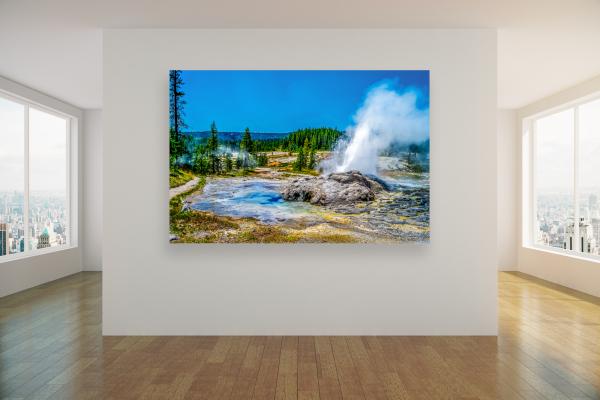 Geyser Shoshone LE Fine Art picture