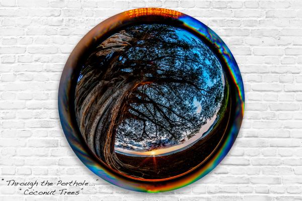 Through the porthole... Banyan Tree
