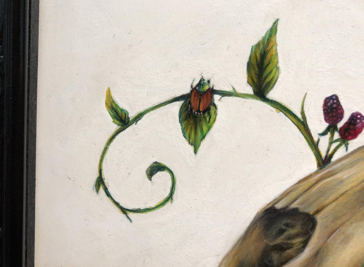 Forest Floor II picture