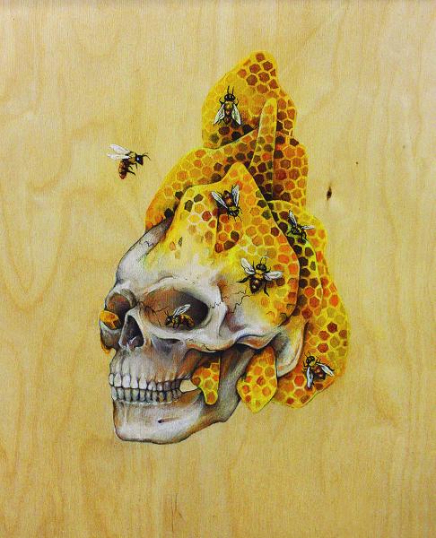 Honeycomb Skull