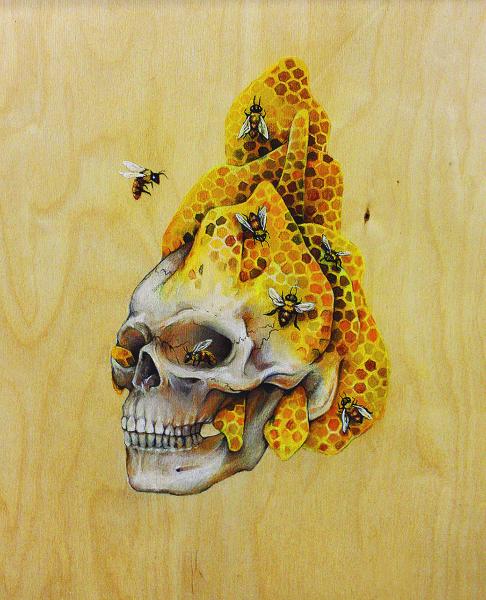 Honeycomb Skull picture