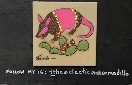 The Eclectic Pink Armadillo